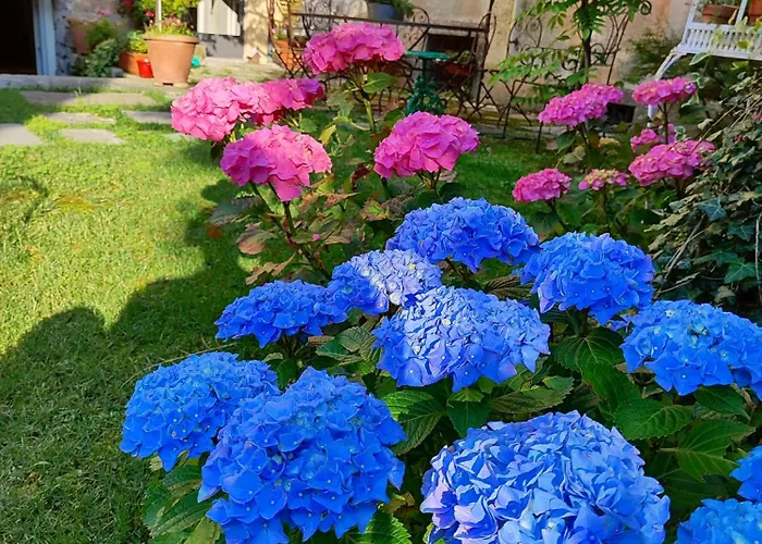 Casa Lumaca Couette-café 4*